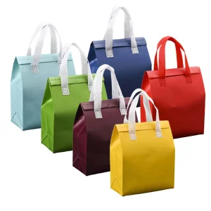 large capacity insulated cooler tote bag reusable food delivery UGI Packaging