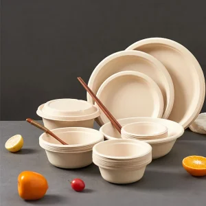 sugarcane bagasse disposable plates compostable biodegradable wholesale
