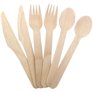 birchwood biodegradable disposable cutlery set wholesale UGI Packaging