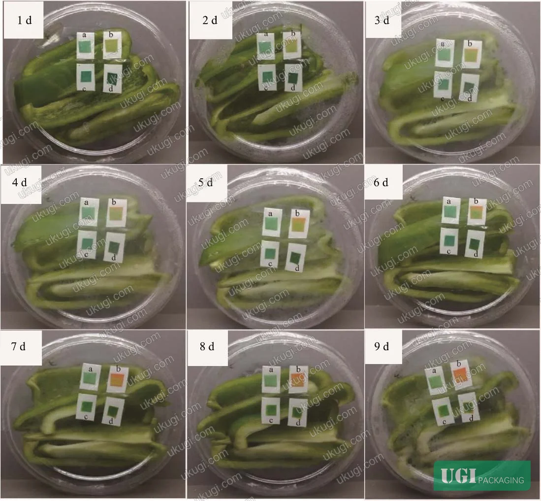 Figure 1: pH-responsive indicator labels showing color transition from yellow-green to orange when monitoring fresh-cut pepper spoilage over 72-hour storage period