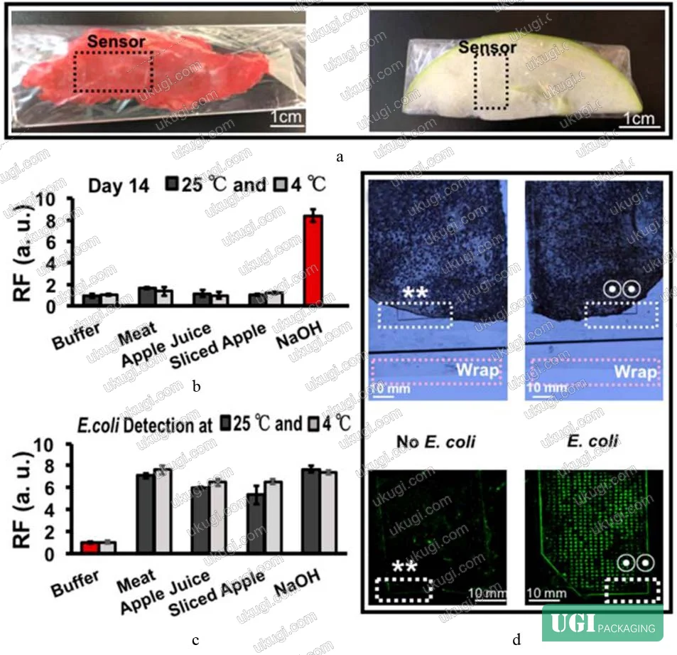 Figure 2: RFD-EC1 cyclic olefin polymer biosensor emitting green fluorescence under UV excitation when detecting E. coli contamination in real-time food safety monitoring applications