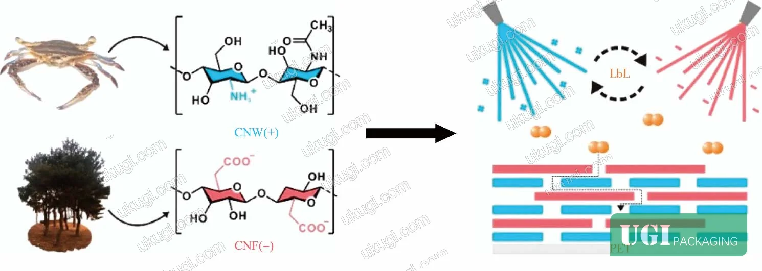 Figure 6: Gas barrier nanocoating layer-by-layer assembly schematic on PET substrate showing alternating cellulose nanofiber and chitin nanocrystal deposition creating tortuous diffusion pathway