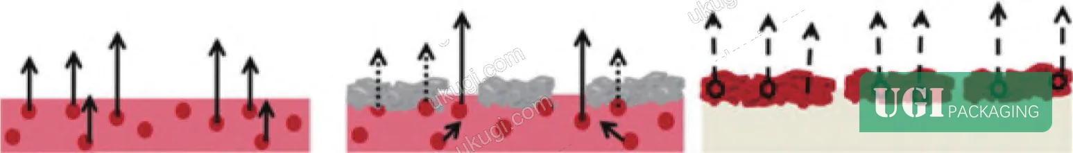 Figure 3: Three preparation strategies for MFC-based active packaging release systems, from simple impregnation to coated composite structures