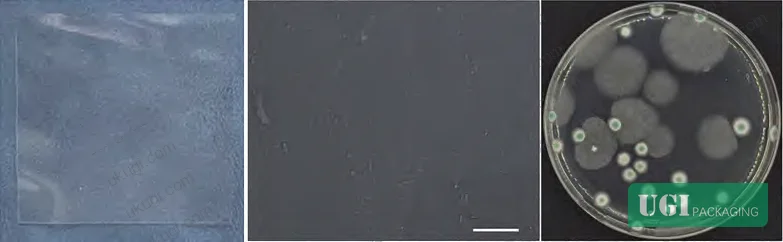 Figure 7: LaPT migration levels (μg/dm²) in four food simulants — distilled water, 4% acetic acid, 20% ethanol, and isooctane — over 1–13 days at 50 °C