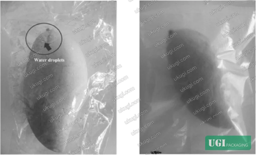 Figure 2: Comparison of optical clarity and anti-fogging performance between neat PLA film (a) and PLA/CMC blend film containing 4% w/w carboxymethyl cellulose from bleached sugarcane bagasse (b), demonstrating improved surface wettability