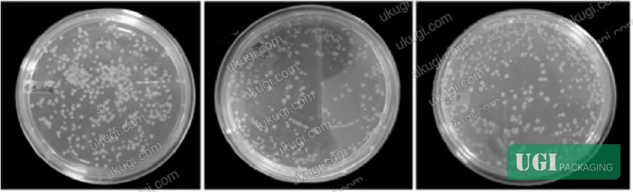 Figure 3: Bacterial colony morphology for Bacillus subtilis cultured in the presence of cellulose acetate nanocomposite films: (a) control, (b) neat CA, (c) CA/PEG20, (d) CA/PEG20/OMMT1, (e) CA/PEG20/OMMT3, (f) CA/PEG20/OMMT5, showing progressive antimicrobial efficacy with increasing organoclay loading