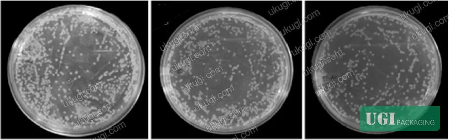 Figure 5: Hemolytic activity and cytotoxicity assessment of cellulose acetate nanocomposite films — (a) plasma-free hemoglobin concentration and (b) lactate dehydrogenase (LDH) levels showing biocompatibility at concentrations up to 20 mg/mL, confirming suitability for food-contact applications