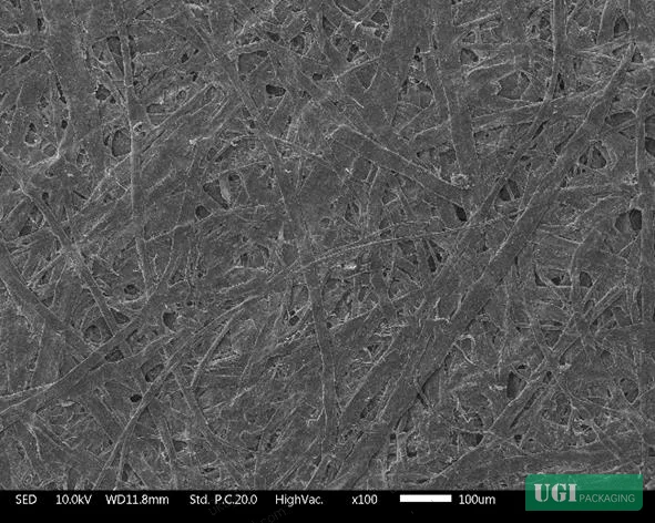 Figure 13: SEM cross-section of bonded interface at 1% PVA fiber addition (×100)