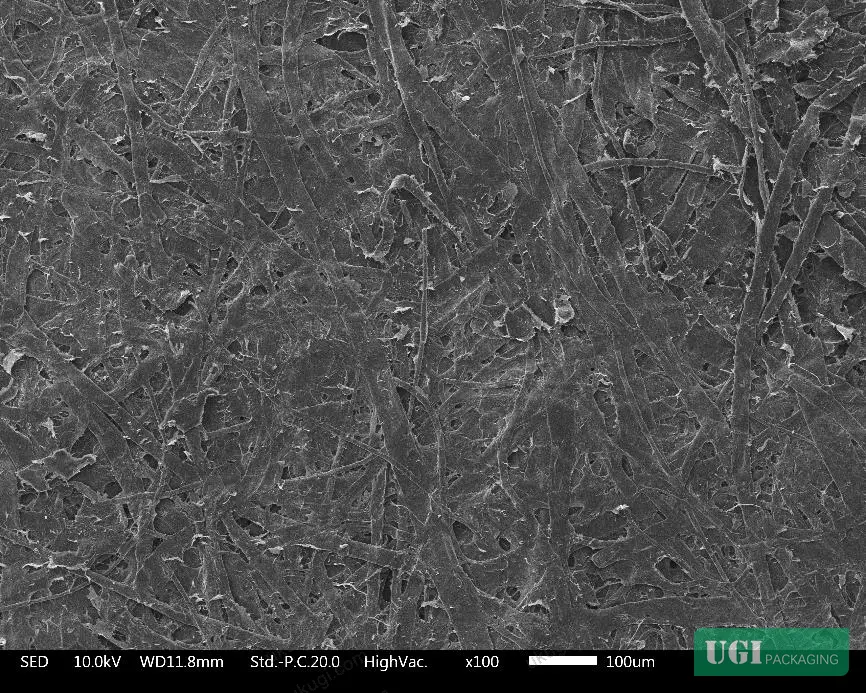 Figure 14: SEM cross-section of bonded interface at 9% PVA fiber addition (×100), showing improved contact area