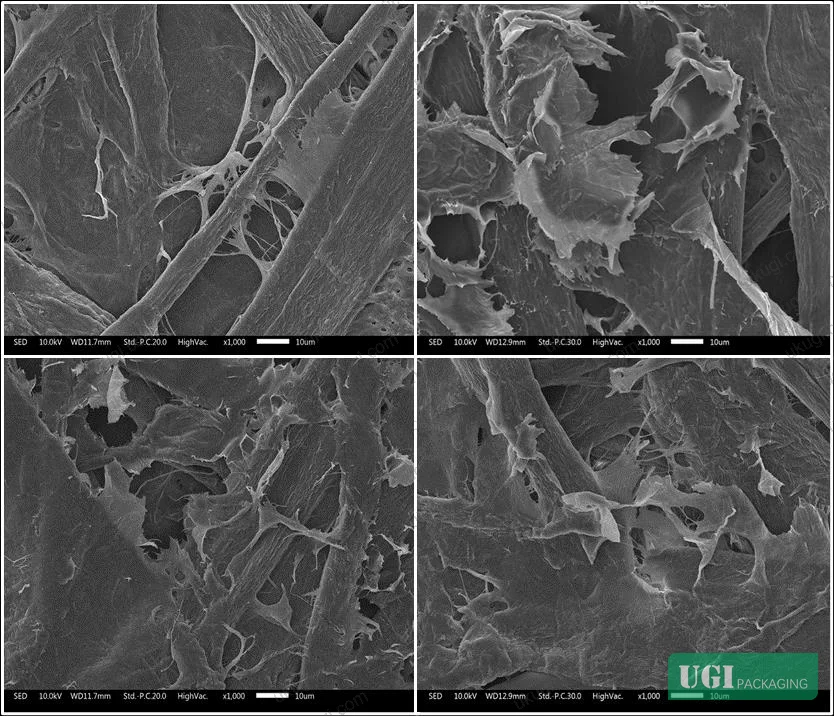 Figure 16: SEM images of bond interface at different sealing temperatures