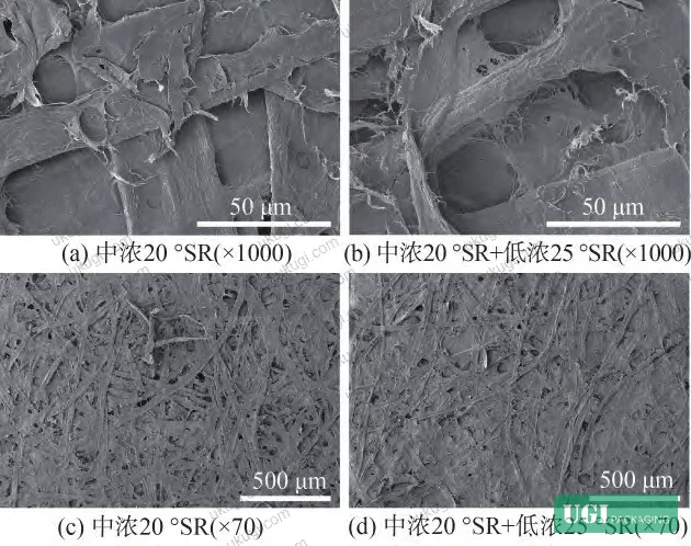 Figure 3: FESEM comparison of paper surface structure under medium-consistency-only vs. combined medium+low-consistency beating — pore size and frequency differ visibly