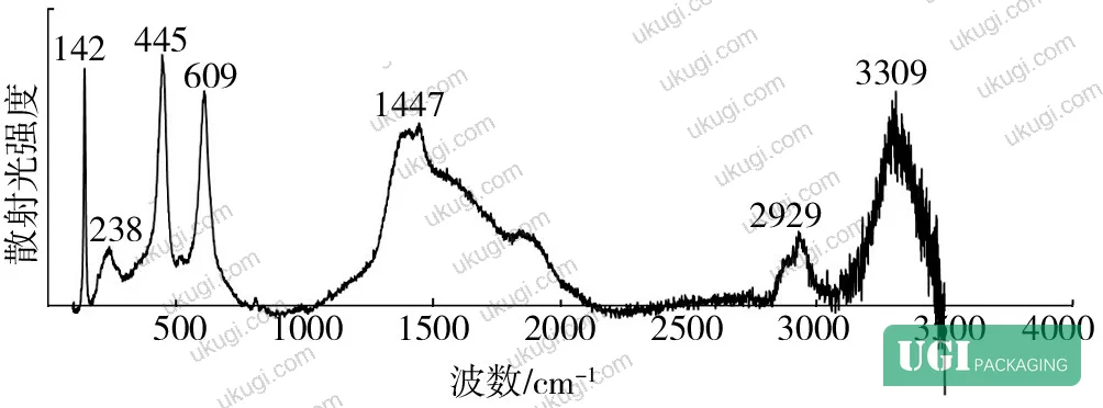 Figure 1: Spectroscopic analysis equipment used to characterize coating composition — dispersive laser Raman microscope and FTIR spectrometer