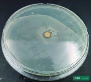 Figure 5: Antimicrobial inhibition zones for coated paper against E. coli showing 12.4 mm diameter effectiveness