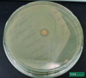 Figure 8: Detail of hydrogen bonding region (3200-3600 cm⁻¹) demonstrating chitosan-cellulose interaction