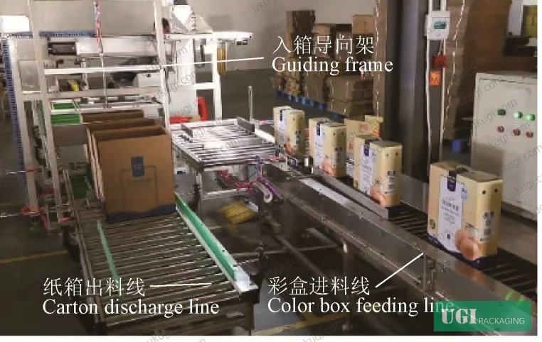 Figure 13: Production line in operation — color-box grabbing stage and combined carton transport line