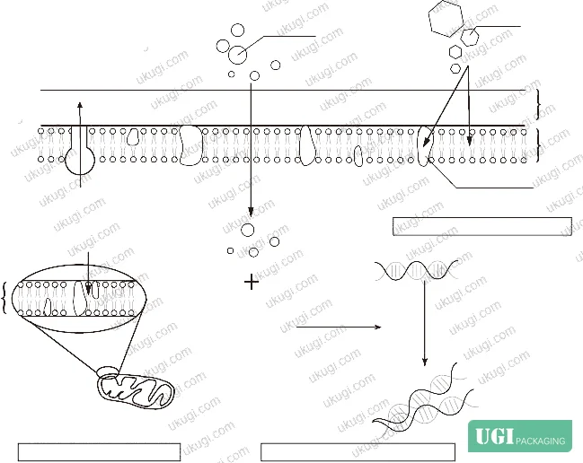 Figure 2: Proteomic response map showing 435 of 3,011 detected proteins (14.45%) with significant differential expression in Salmonella treated with 1,8-cineole — spanning 935 intracellular biological processes and 477 molecular functions