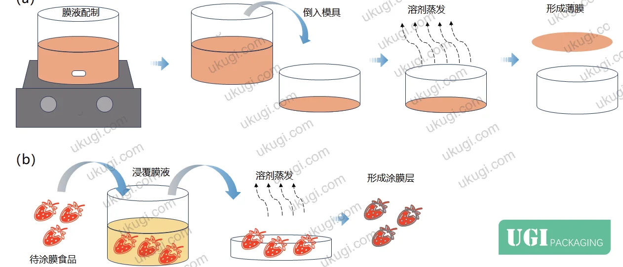 Figure 3: Solvent-casting film preparation process — emulsion casting into molds versus direct coating onto food surfaces
