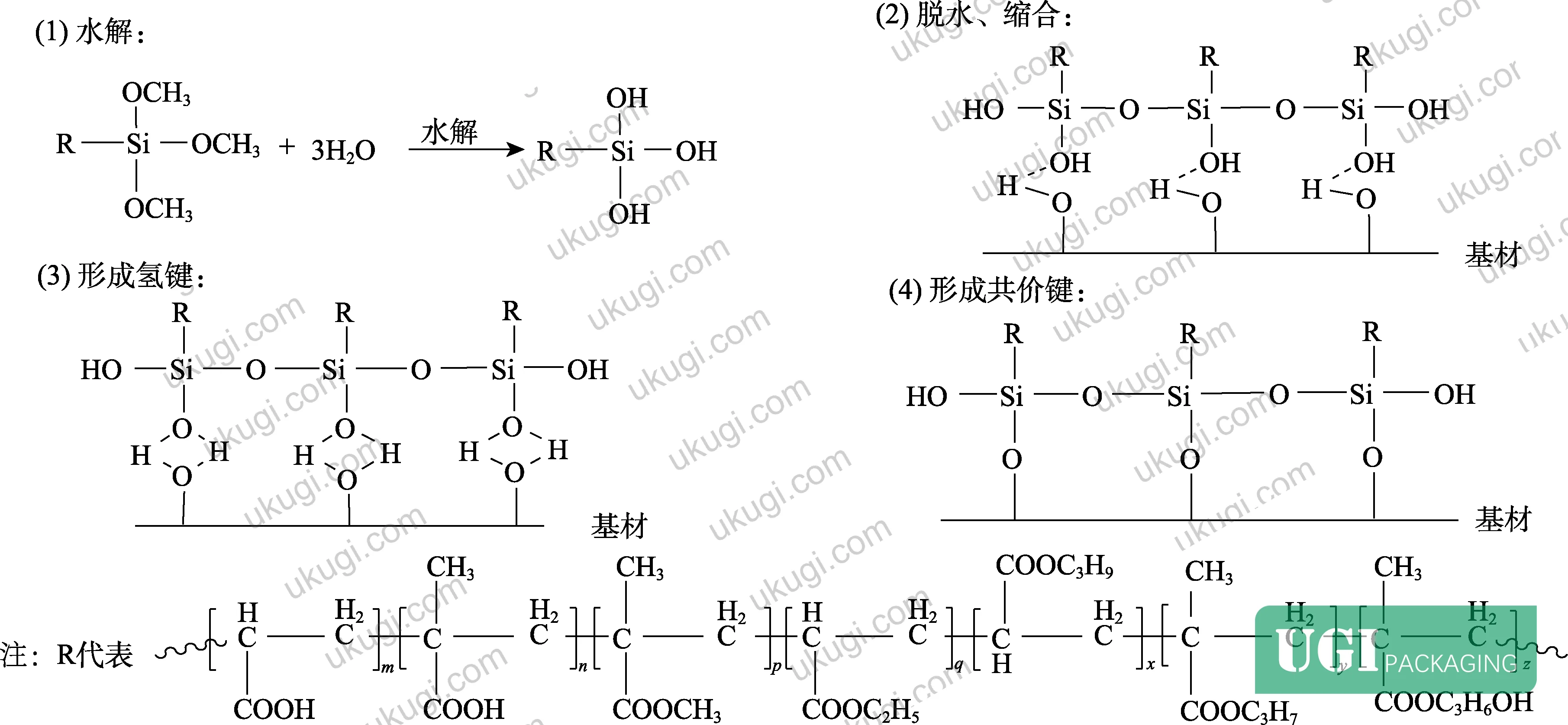 Figure 3: Cross-linking mechanism of KH570 in the silicon-acrylic emulsion system, showing Si–O–Si network formation