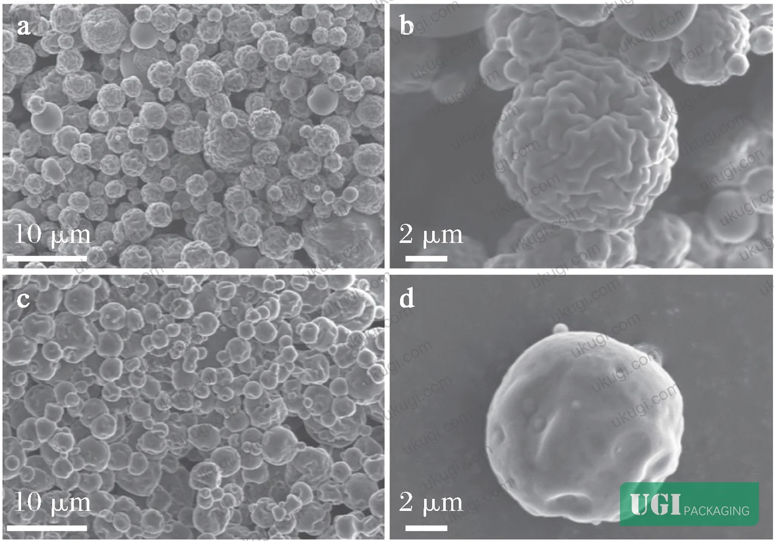Figure 1: SEM images of blank chitosan-gelatin microspheres (a, b) and ginger essential oil microcapsules (c, d) — note the rounded, brain-fold surface morphology characteristic of spray-dried capsule structures