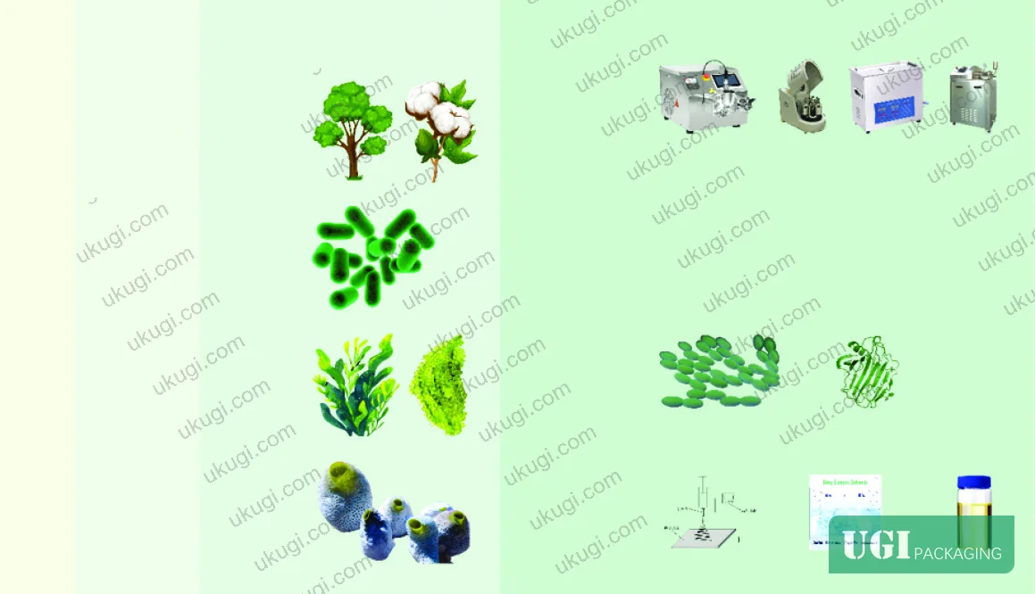 Figure 2: Sources and preparation methods of nanocellulose — from plant biomass, bacterial fermentation, algae, and animal-derived tunicate, with classification into CNC, CNF, and BNC types
