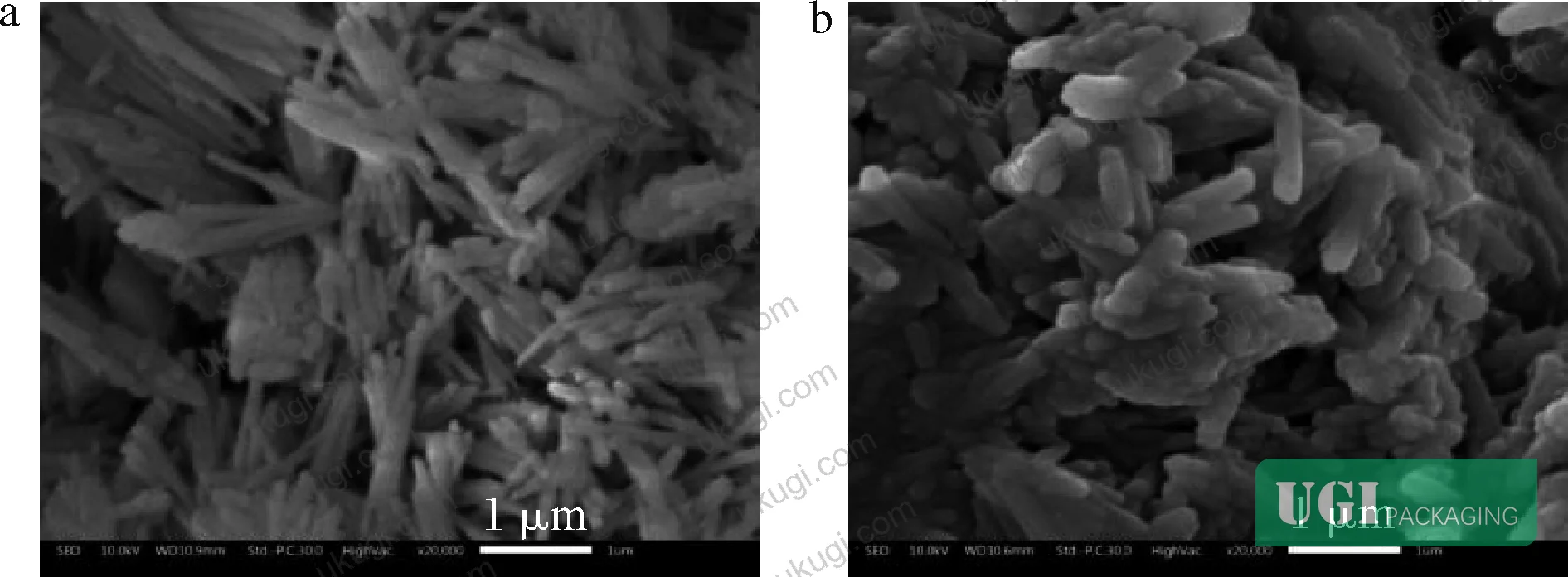 Figure 1: SEM comparison of unloaded halloysite nanotubes (left) and cinnamon-essential-oil-loaded halloysite nanotubes (right), showing increased diameter and smoother surface morphology after loading