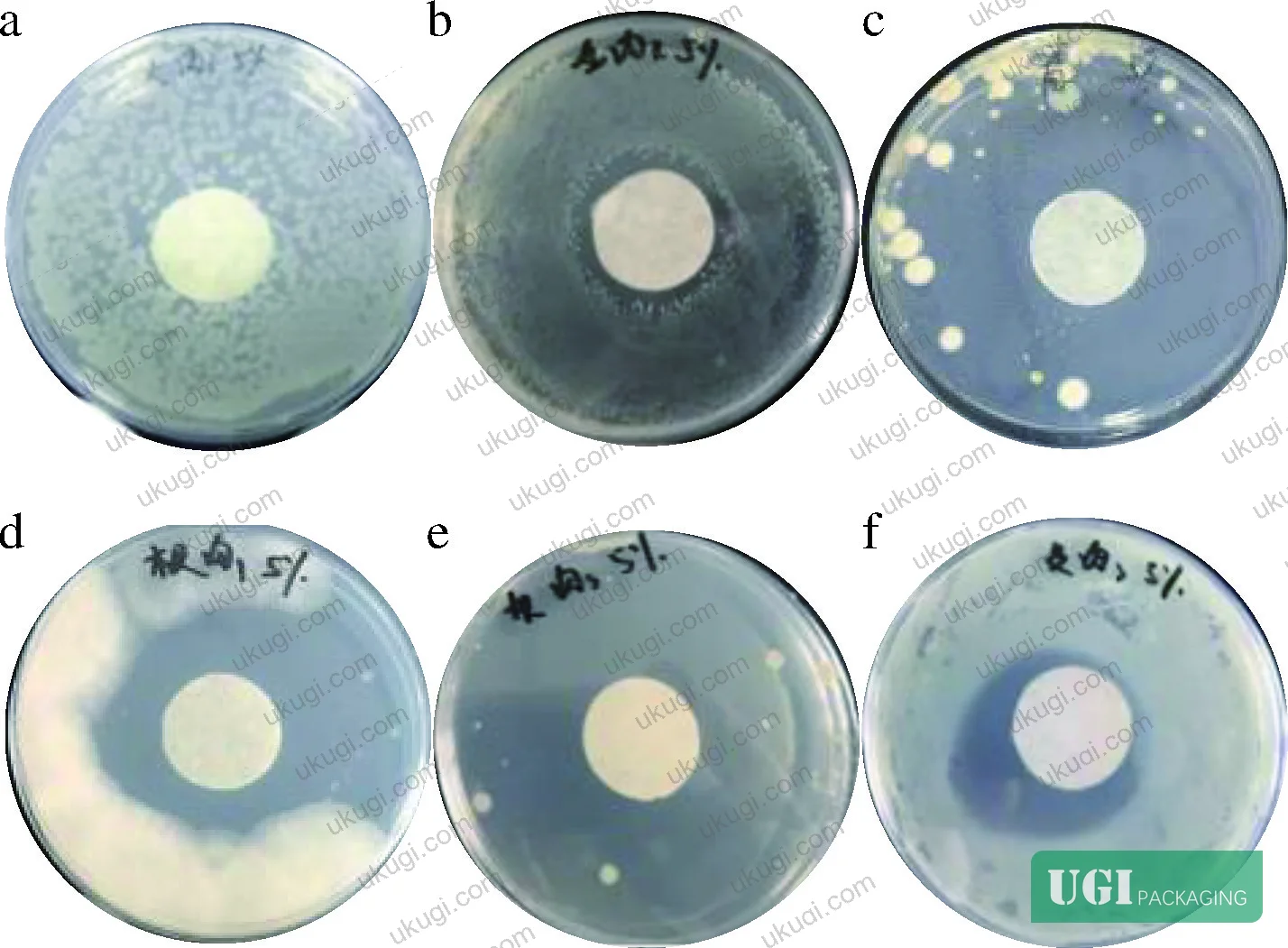 Figure 2: Inhibition zone diameter data for six spoilage microorganisms at escalating cinnamon essential oil concentrations (1%–5% v/v) in the antimicrobial paper coating
