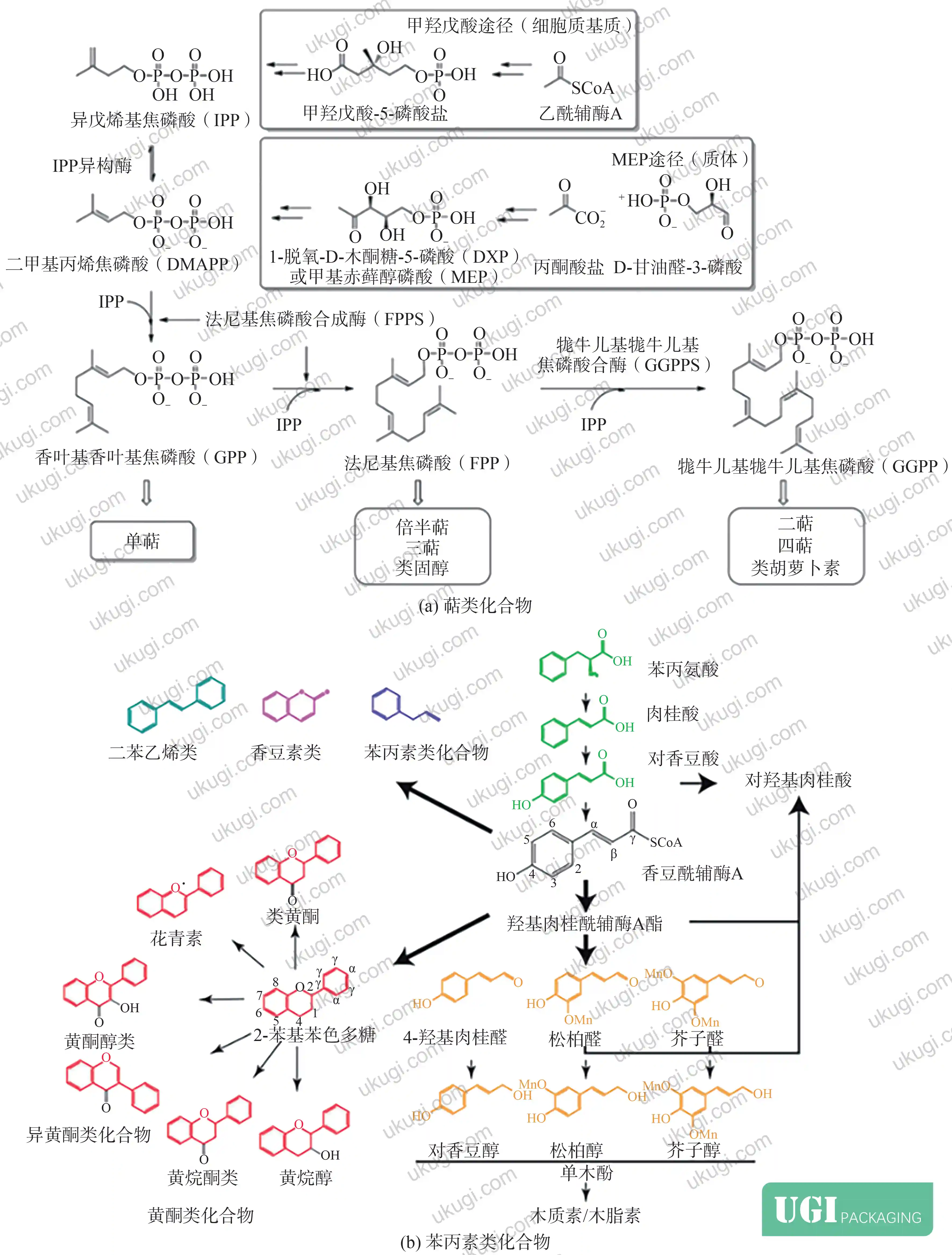 Figure 2: Classification of essential oil types — terpenoids and phenylpropanoids — and their structural characteristics relevant to encapsulation compatibility