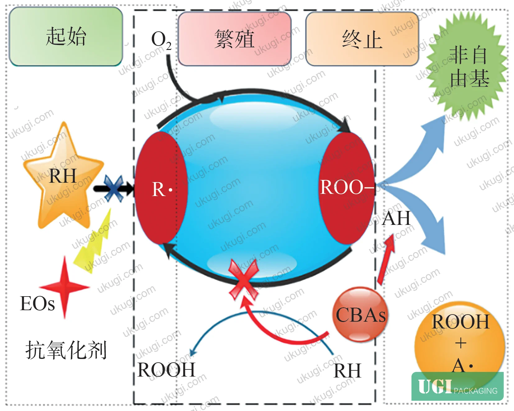 Figure 4: Antimicrobial mechanism of essential oils — multi-pathway cell disruption including membrane damage, pH alteration, DNA inhibition, and spore blockade