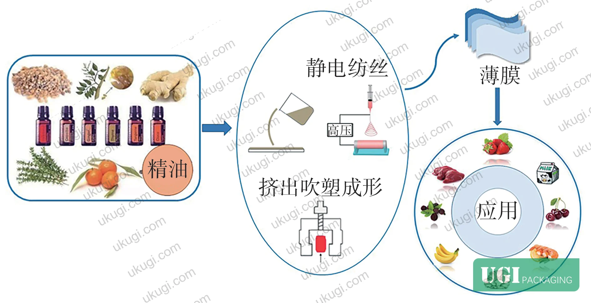 Figure 5: Application domains of EO-encapsulated electrospun fibers across fresh produce, meat, and aquatic product packaging systems