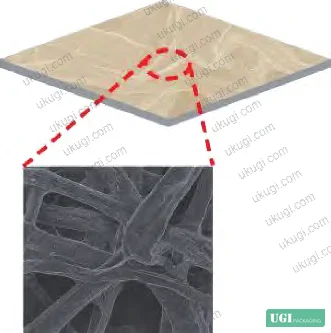 Figure 4: SEM surface morphology of uncoated base paper (U-P) showing open fiber network with multiple pores