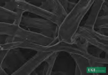 Figure 7: SEM detail of CGG/OCNF coating cross-section confirming uniform dense network formation