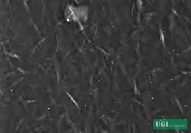 Figure 8: SEM surface view of 6-bilayer CGG/OCNF coated paper showing smooth, uniform coating surface suitable for digital printing