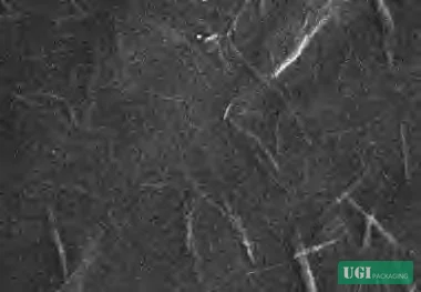 Figure 9: Full SEM panel comparing surface morphology from uncoated (U-P) through 1, 3, 6 bilayers and cross-sectional view