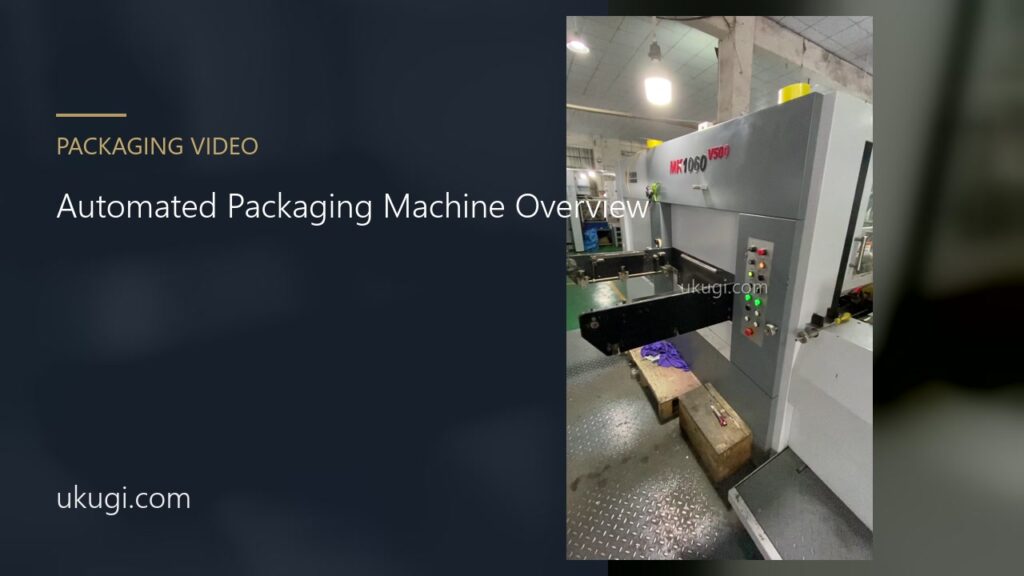 Automated Packaging Machine Factory Overview | ukugi.com
