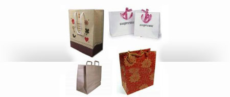 Paper bag handle options