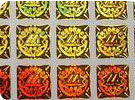Hologram sticker
