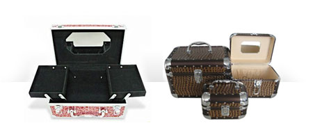 Cosmetic cases